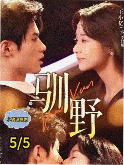 电视黄金期插曲武侠影视金曲条目封面